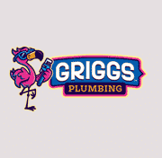 Griggs-plumbing